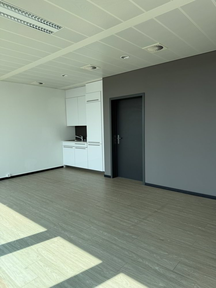 null Zimmer Büro zu vermieten in Le Lignon - Bild 1/6