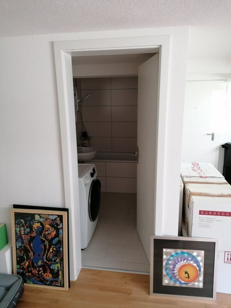 1 rooms Apartment for rent in Birsfelden - image 1/5
