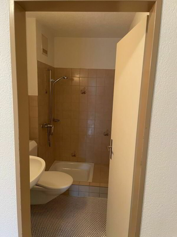 Appartement 3 pièces à louer à Zuchwil - image 1/13