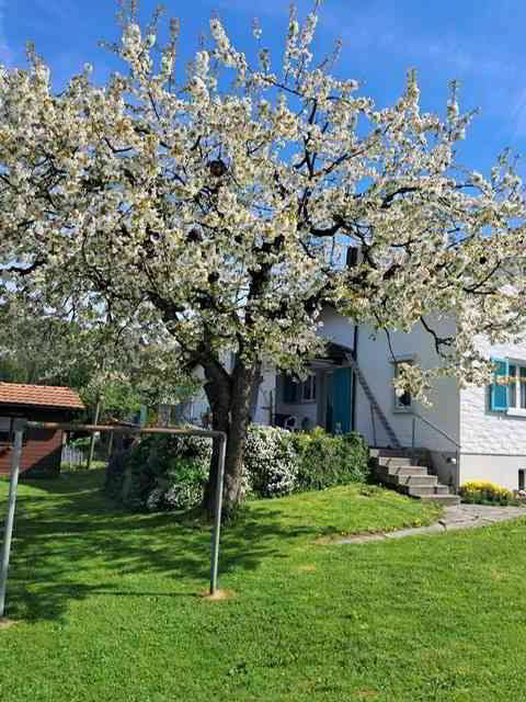 Haus – Bichelsee - Ansicht 5