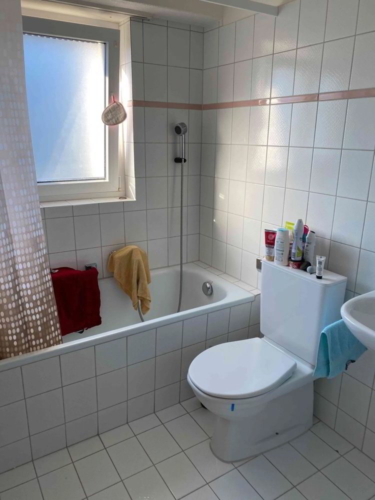 Wohnung – Buchs SG - Mehr