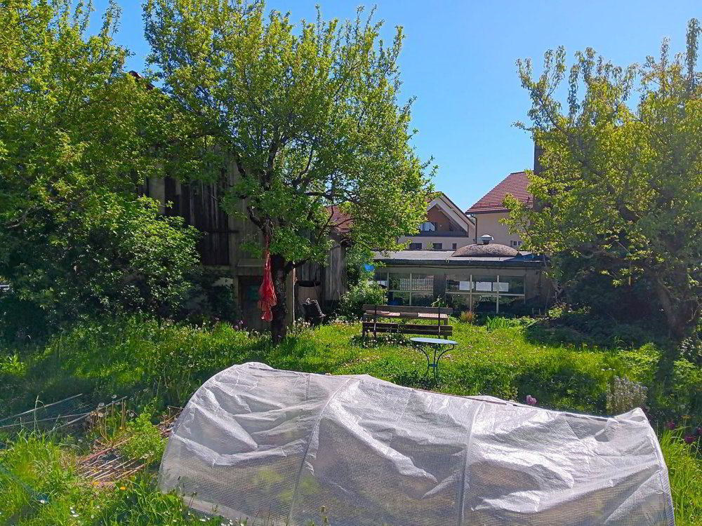 POTENTIEL POLYVALENT AU CUR DU VILLAGE - Ansicht 4