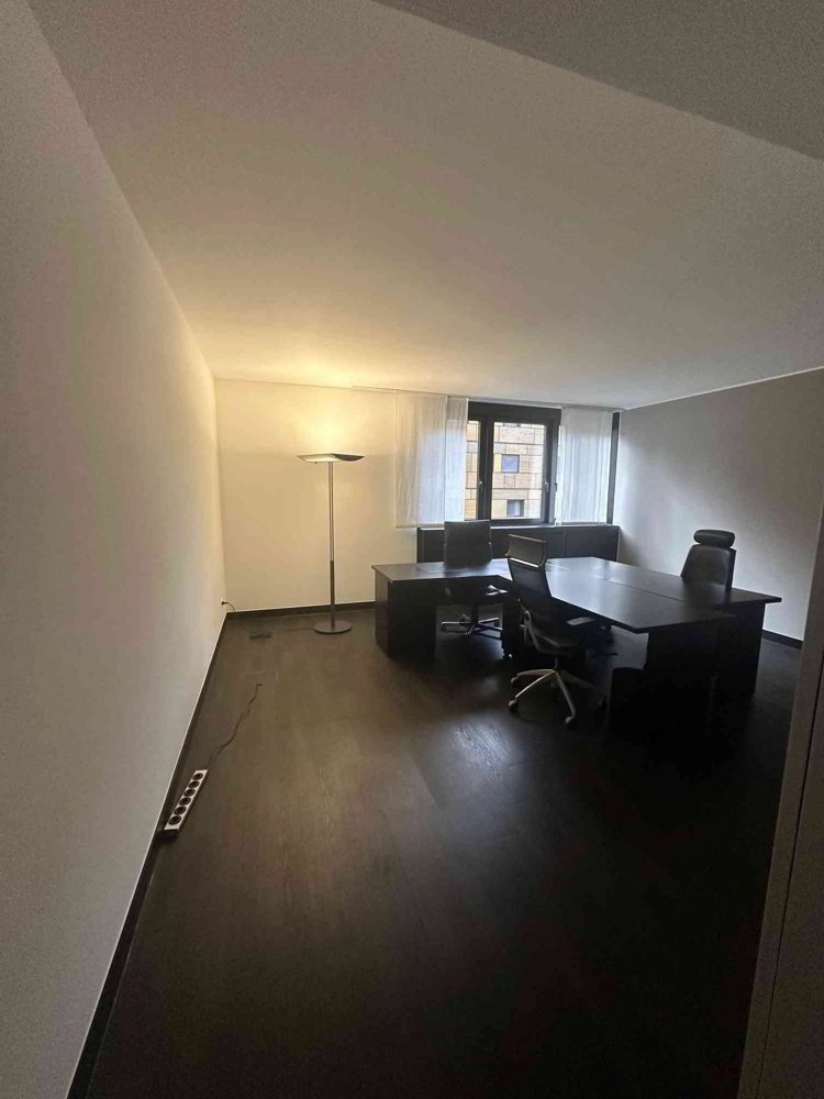 LUGANO – LUMINOSO UFFICIO ARREDATO IN ZONA LAC / CENTRO - Ansicht 4