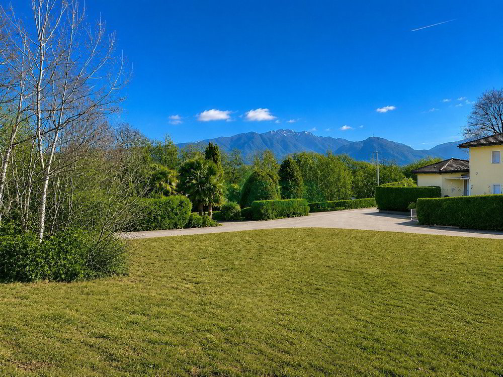 Schönes und flaches Bauland in sehr ruhiger und sonniger Lage - Ansicht 2
