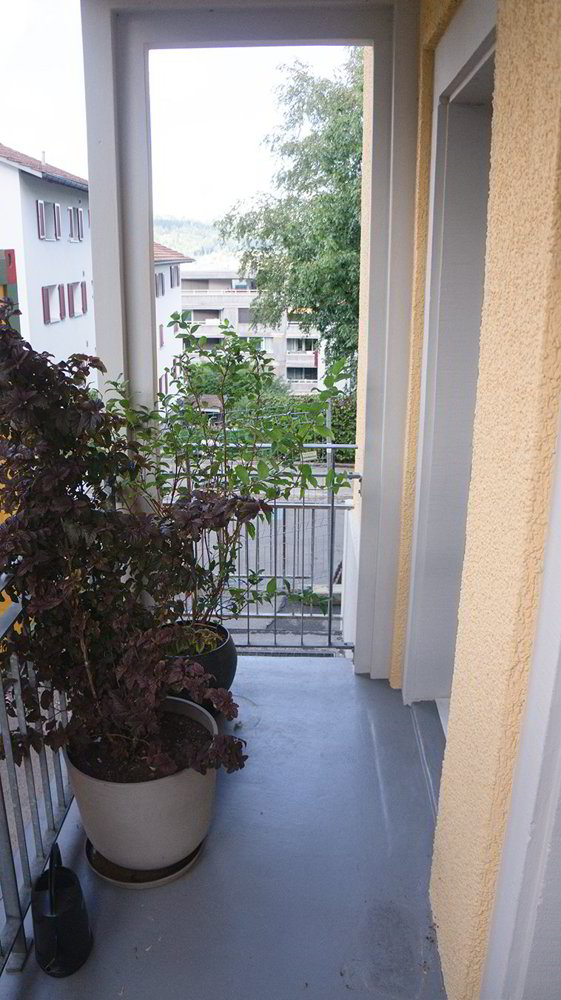 2 Zimmer Wohnung zu vermieten in St. Gallen - Bild 1/10