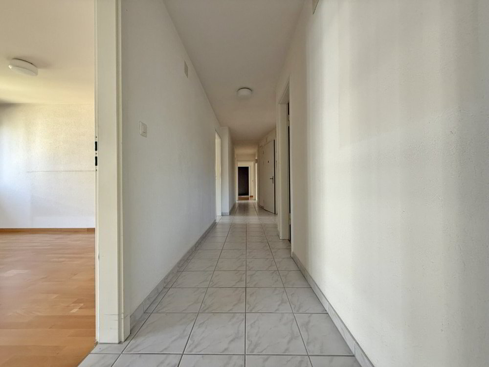 Wohnung – Allschwil - Ansicht 5