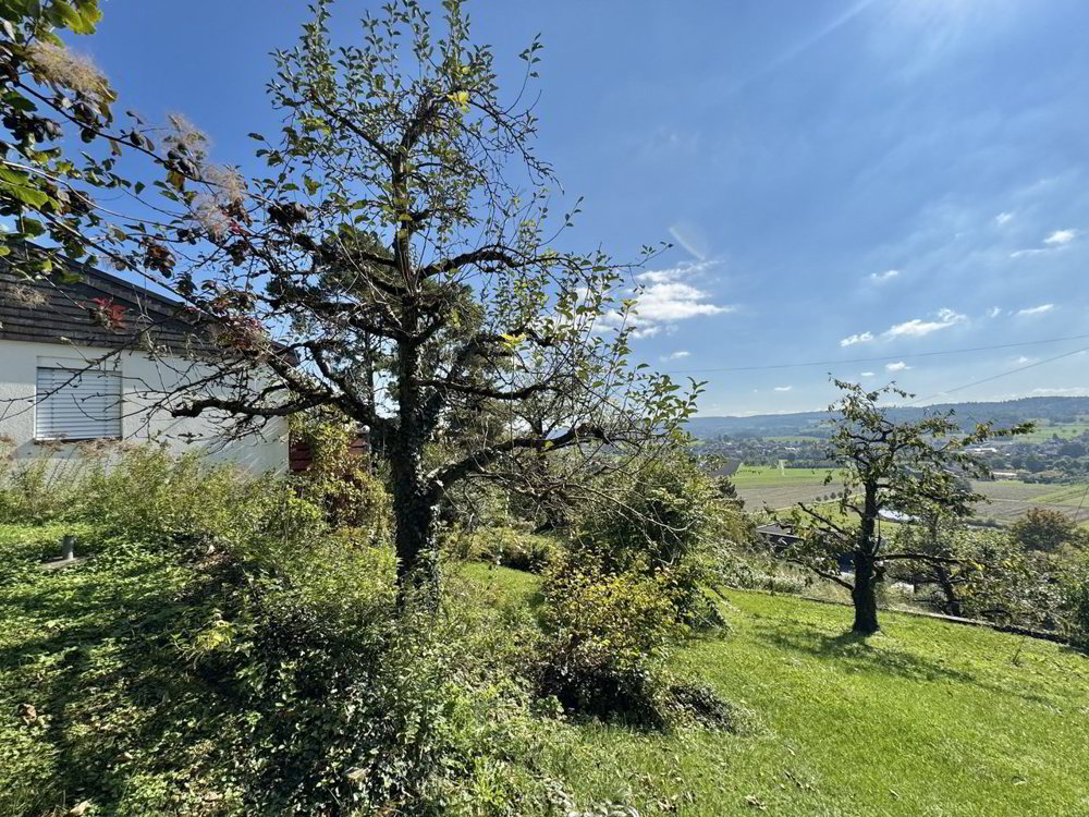 Haus – Thayngen - Ansicht 2