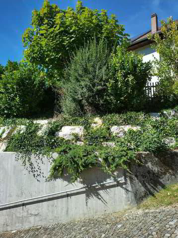 Wohnung – Perrefitte - Ansicht 2