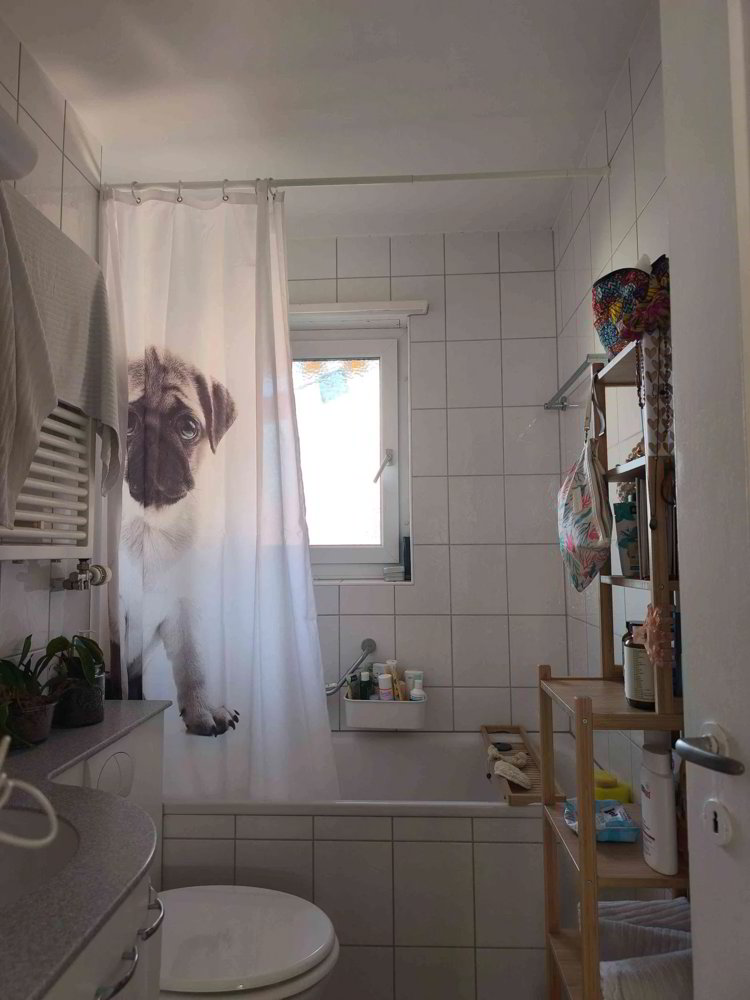 Wohnung – Binningen - Ansicht 5