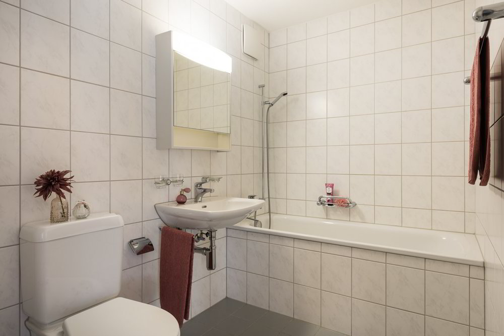 Appartement 2 pièces à louer à Bremgarten AG - image 1/5