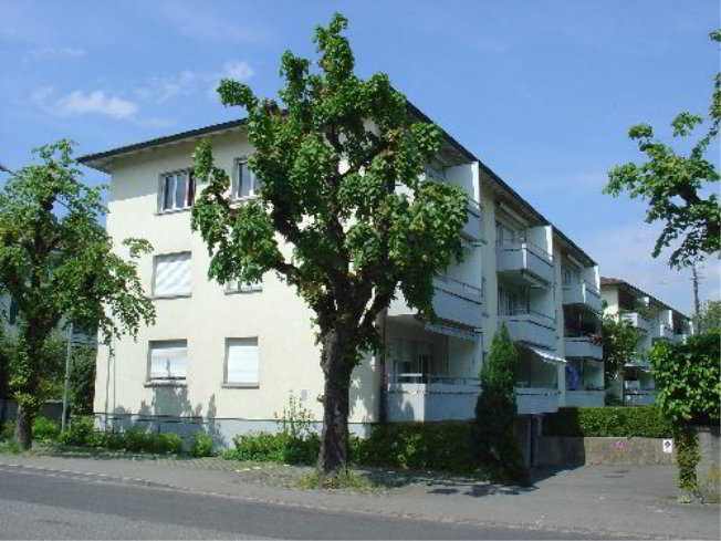Appartement 2 pièces à louer à Thoune - image 1/1