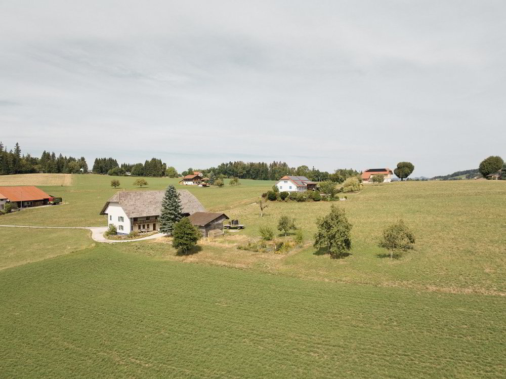 5 Zimmer Haus zum verkaufen in Alterswil FR - Bild 1/13