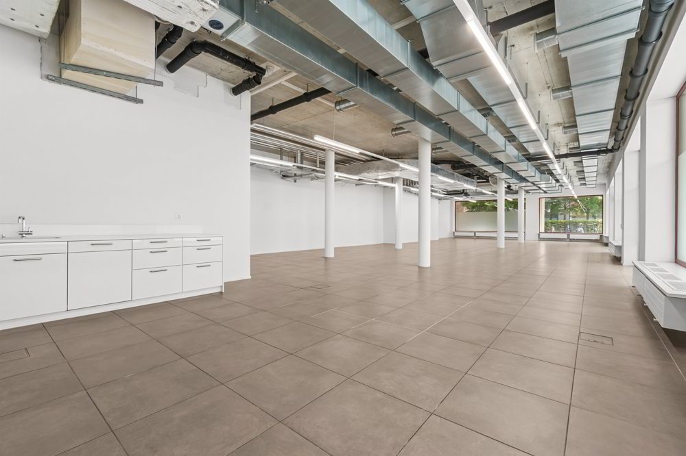 Grosszügiger Gewerberraum an attraktiver Lage im Quartier Greencity - Ansicht 3