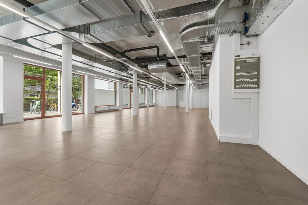 Grosszügiger Gewerberraum an attraktiver Lage im Quartier Greencity - Ansicht 4