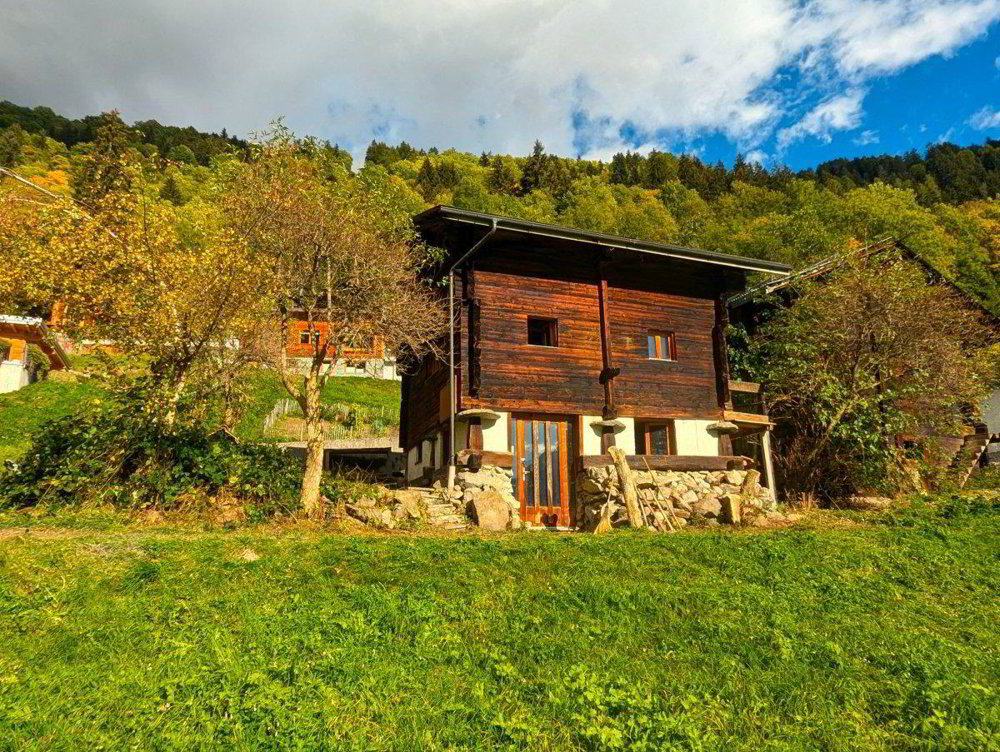 4 Zimmer Haus zum verkaufen in Fiesch - Bild 1/1