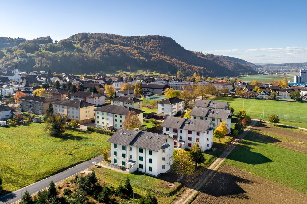 Appartamento di 3 locali in affitto a Leibstadt - immagine 1/13