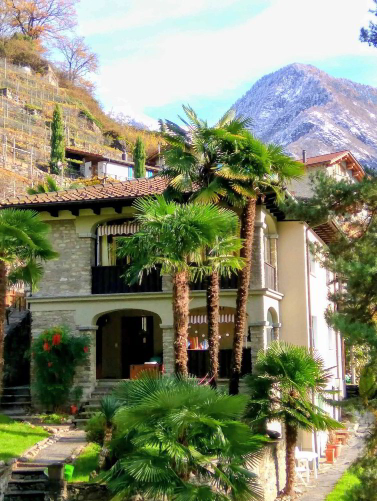 7 Zimmer Haus zum verkaufen in Roveredo GR - Bild 1/13