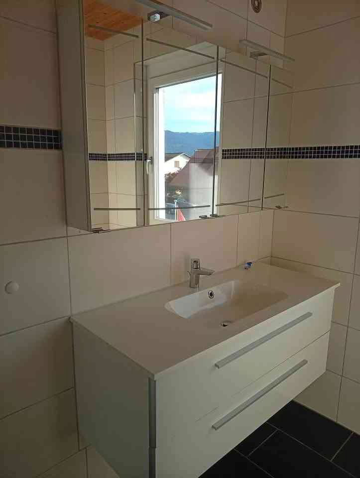 Casa di 5.5 locali in affitto a Kriessern - immagine 1/11