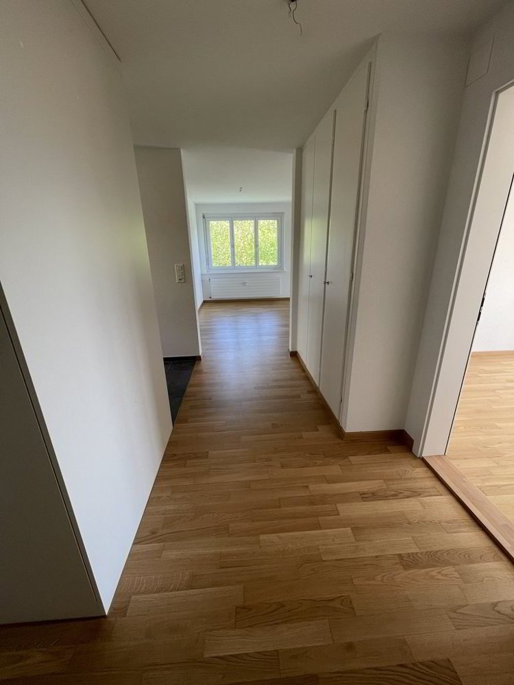 Appartamento di 3 locali in affitto a Hombrechtikon - immagine 1/6