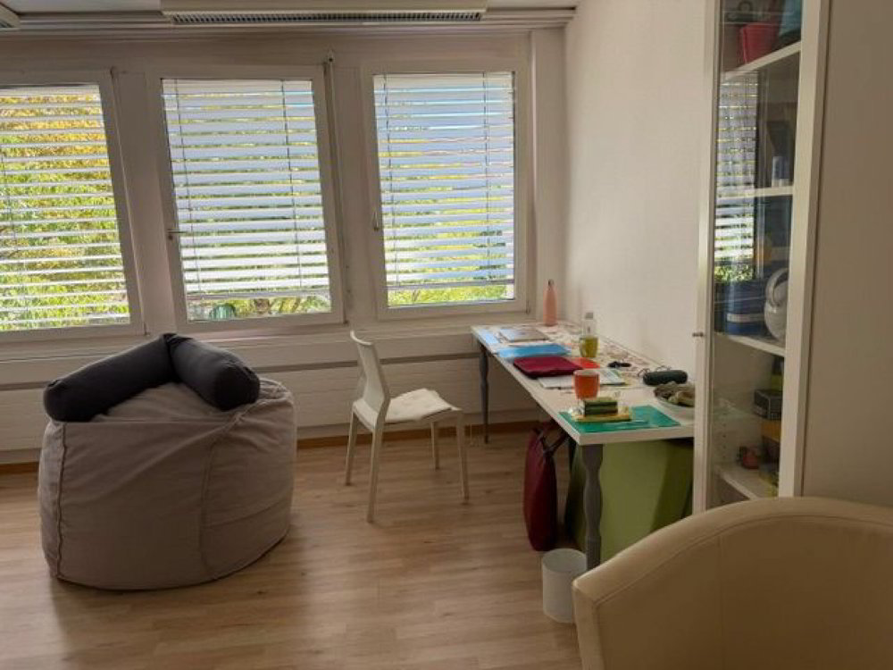 ATTRAKTIVER BÜRORAUM IN ANGENEHMER ARBEITSUMGEBUNG - Ansicht 4