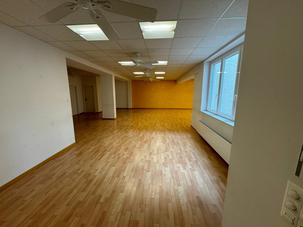Gewerbefläche im Herzen von Olten zu vermieten - Ansicht 2
