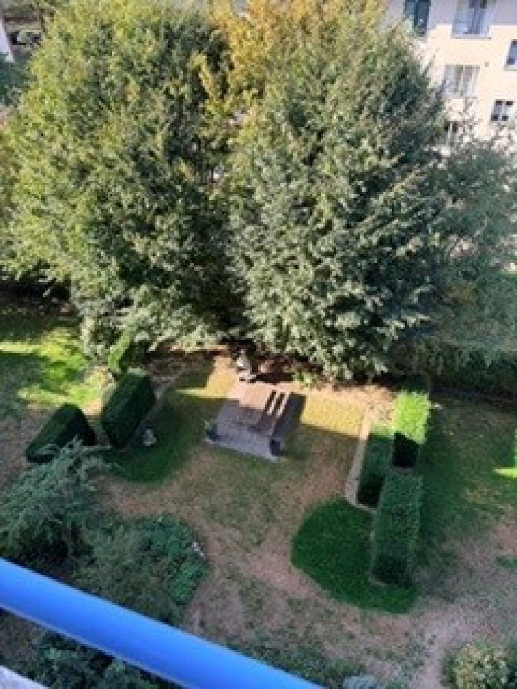 Appartamento di 3.5 locali in affitto a Berna - immagine 1/12