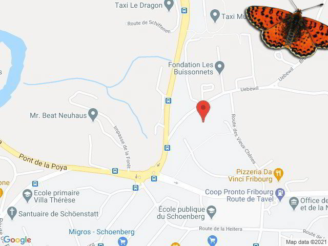 3 Zimmer Wohnung zu vermieten in Fribourg - Bild 1/12