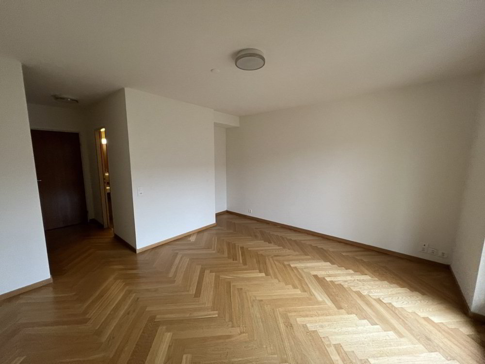 Appartement 1 pièces à louer à Mariastein - image 1/7