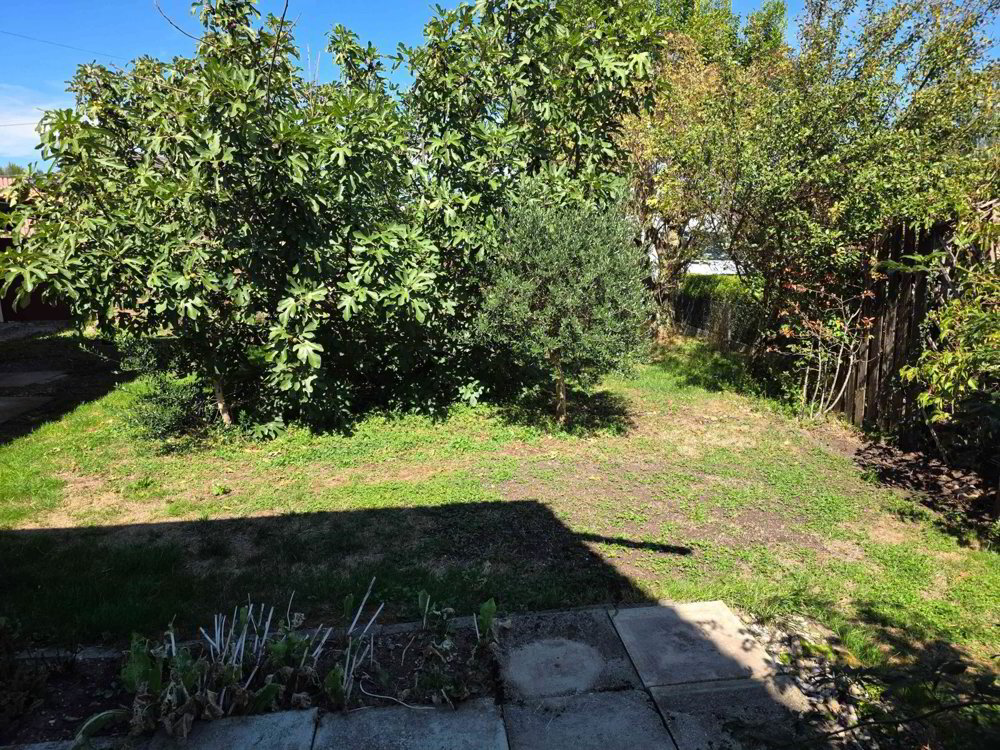 Casa di 6 locali in affitto a Birrhard - immagine 1/9
