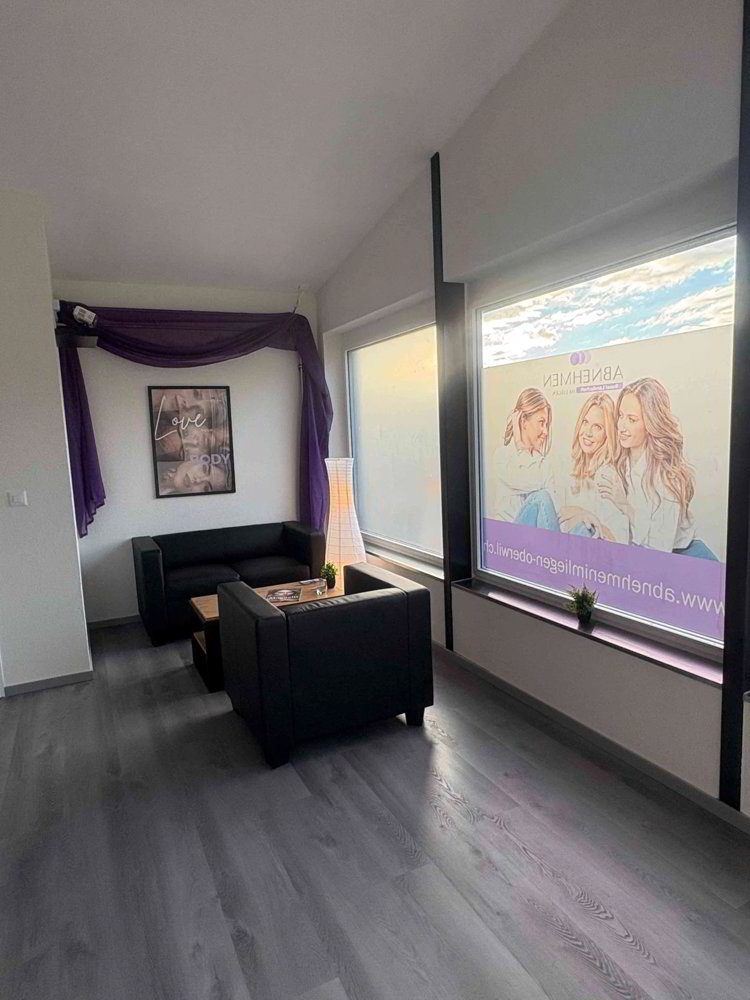 3 rooms Office & Commercial for rent in Oberwil BL - image 1/6