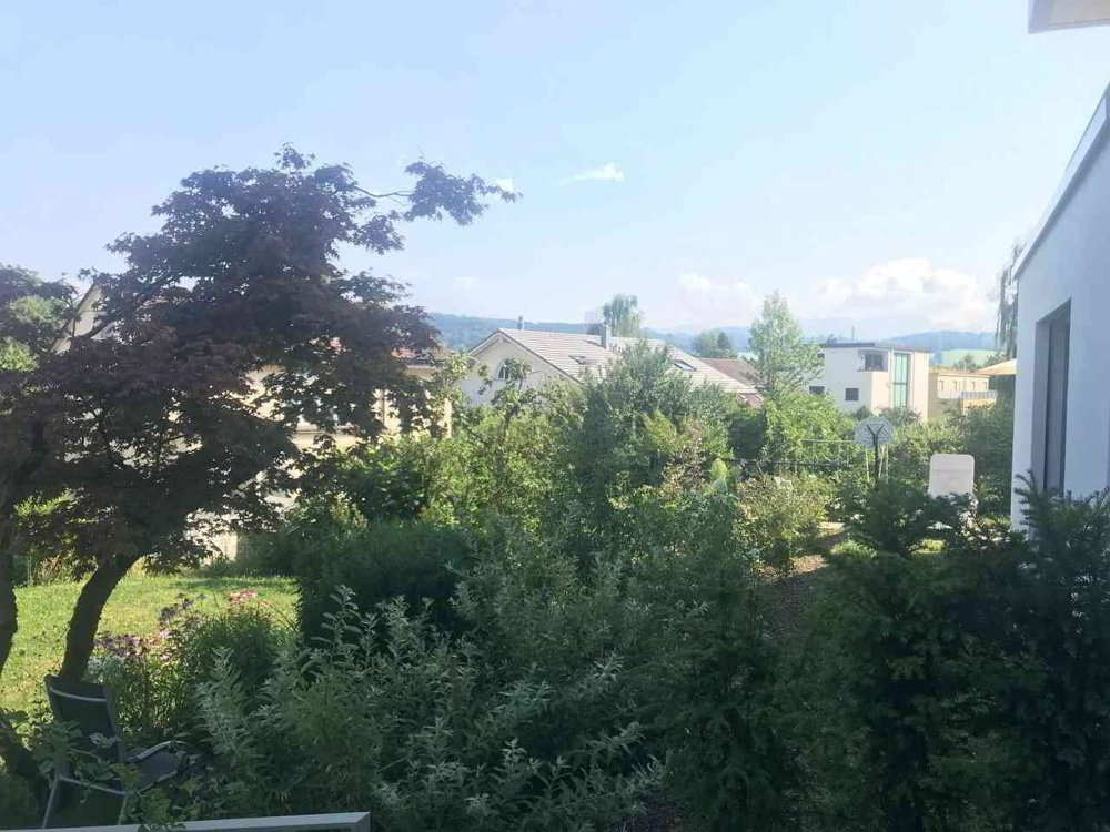Wohnung – St. Gallen - Mehr