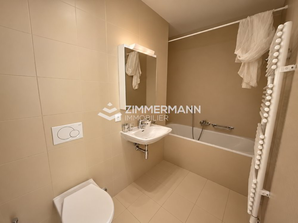 Appartamento di 5 locali in affitto a Carouge GE - immagine 1/7