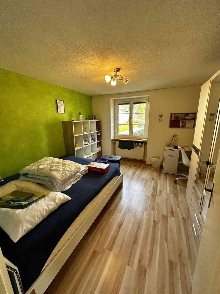 Haus – Altdorf UR - Ansicht 5
