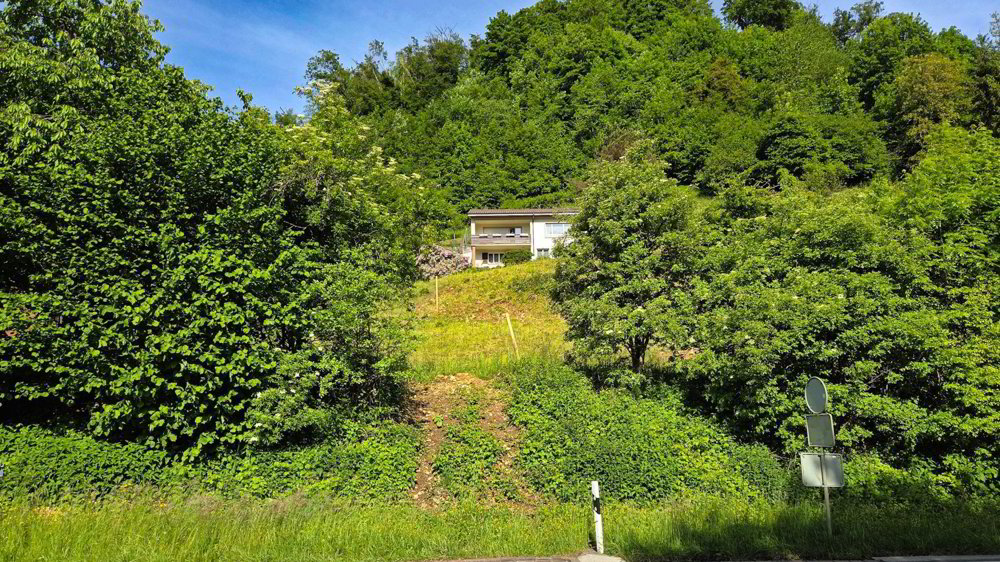 Bauland mit unverbaubarer Weitsicht in Rümlingen (2’024 m²) - Ansicht 2