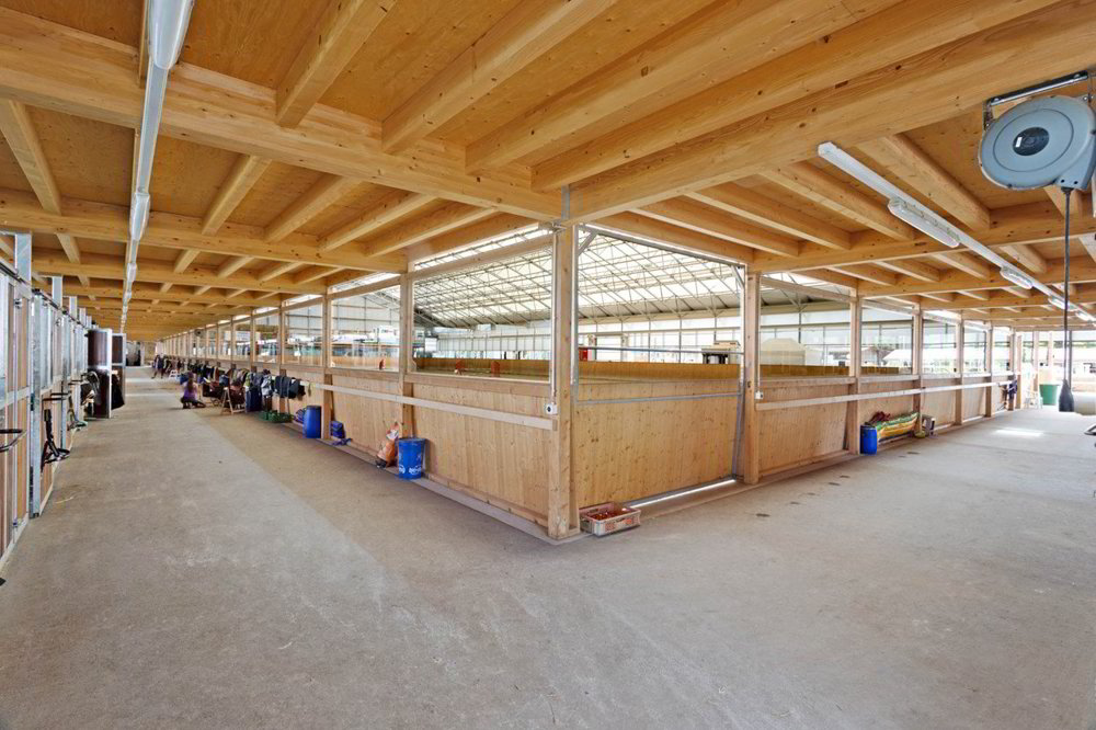 Haus – Yverdon-les-Bains - Ansicht 4
