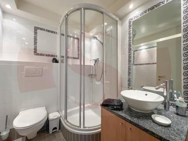 1 Zimmer Wohnung zu vermieten in Genève - Bild 1/5