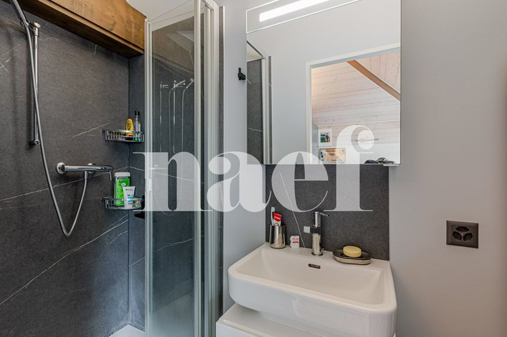 Casa di 8 locali in vendita a Troinex - immagine 1/12