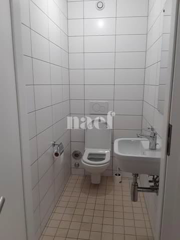3.5 rooms Apartment for rent in Satigny - image 1/9