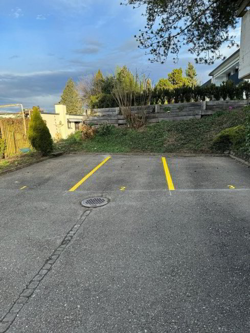 null rooms Car park, garage for rent in Bellikon - image 1/1