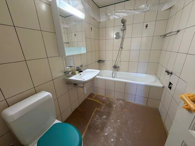 Appartement 3 pièces à louer à Vallorbe - image 1/12