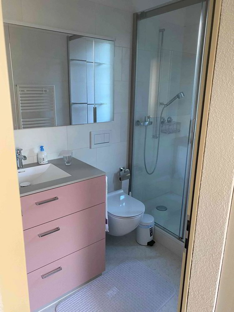 3 rooms Apartment for rent in Zürich - image 1/9