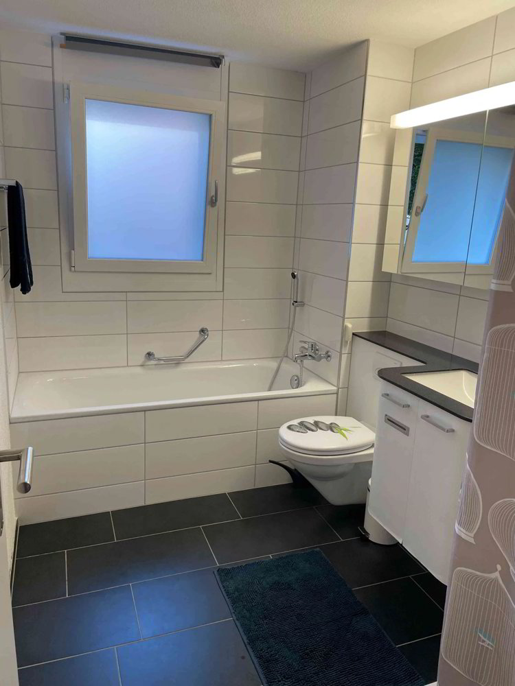 Wohnung – Buchs SG - Mehr