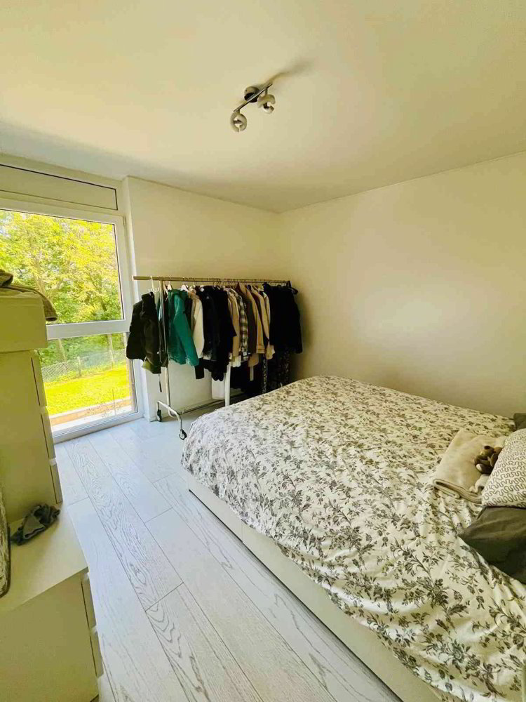 Appartement 2 pièces à louer à Cadro - image 1/11