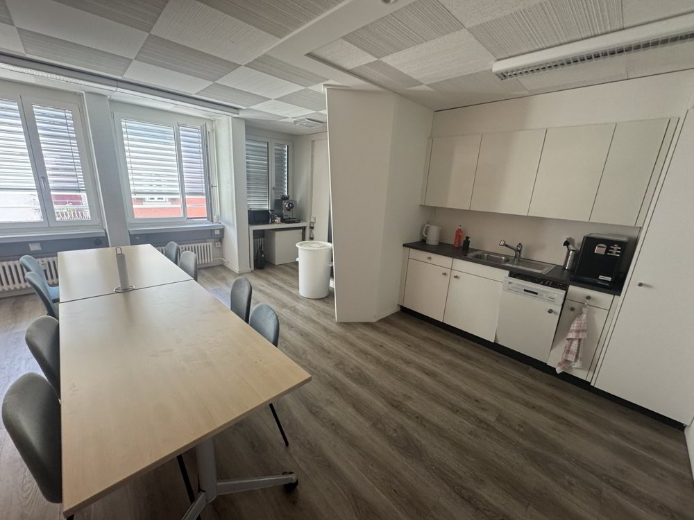 null rooms Office & Commercial for rent in Zürich - image 1/7