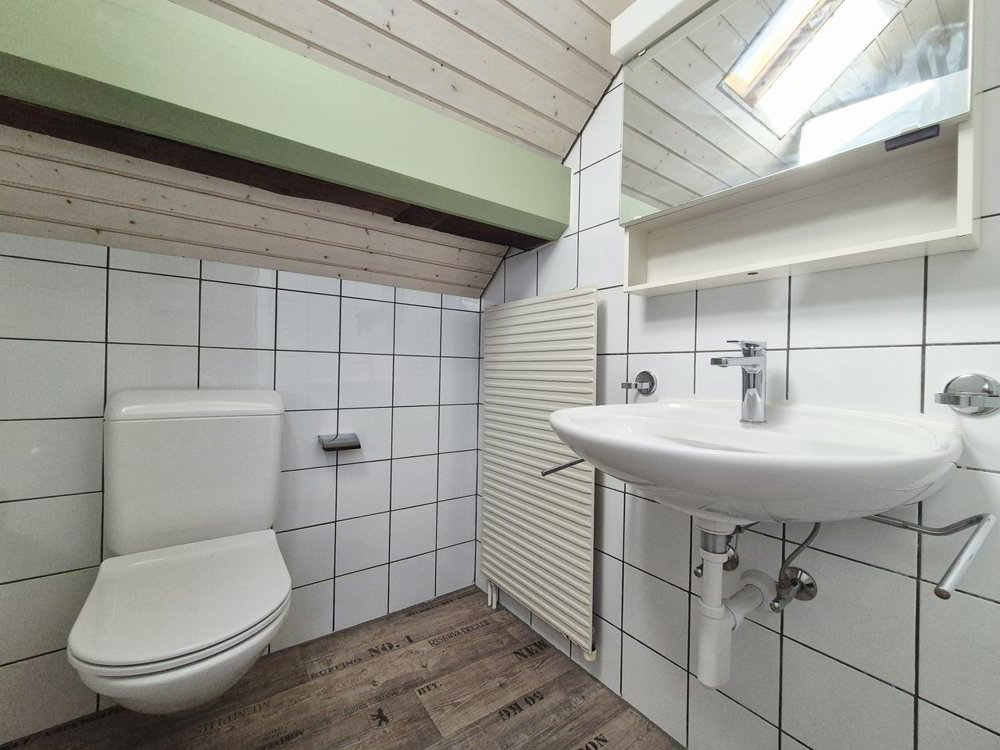 Appartement 3 pièces à louer à Broc - image 1/8