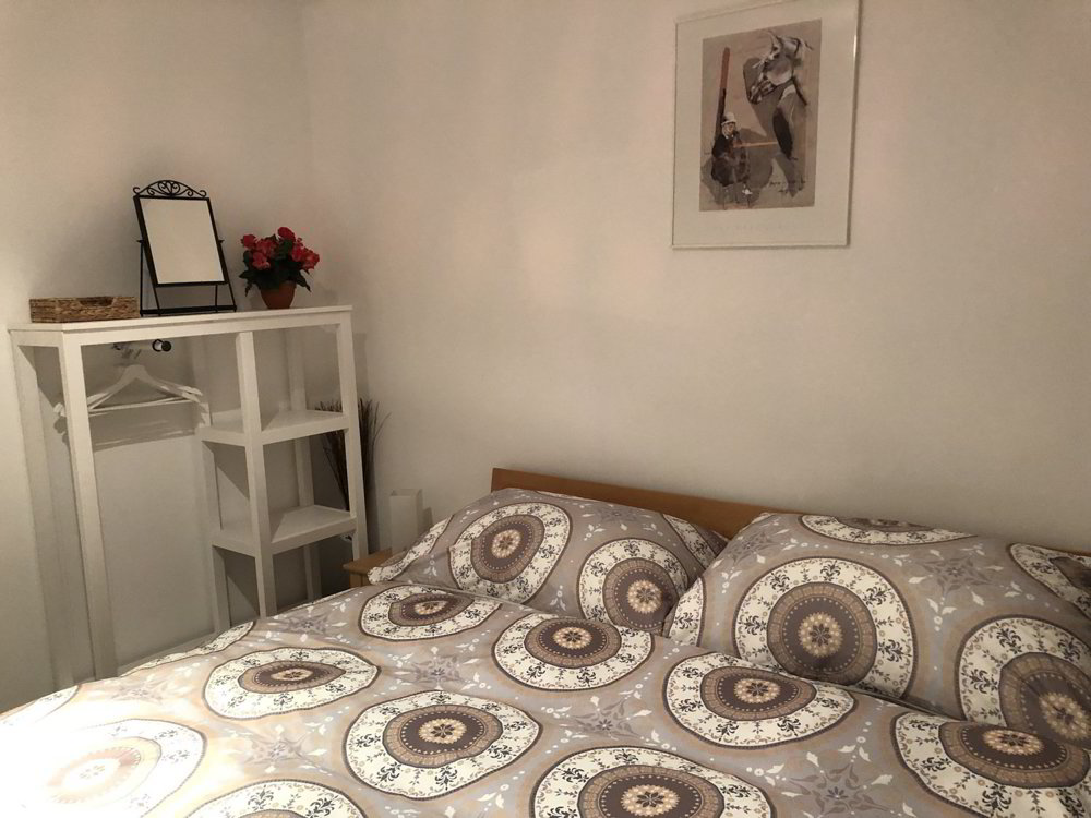 3 Zimmer Wohnung zu vermieten in Rapperswil SG - Bild 1/10