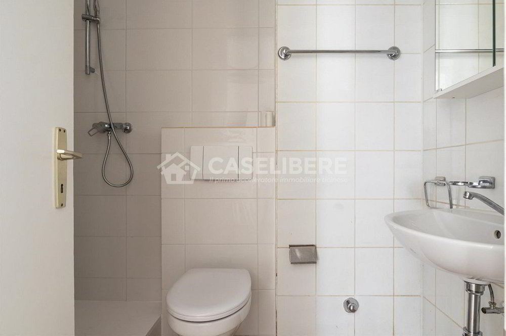 Appartement 3.5 pièces à louer à Lodrino - image 1/8