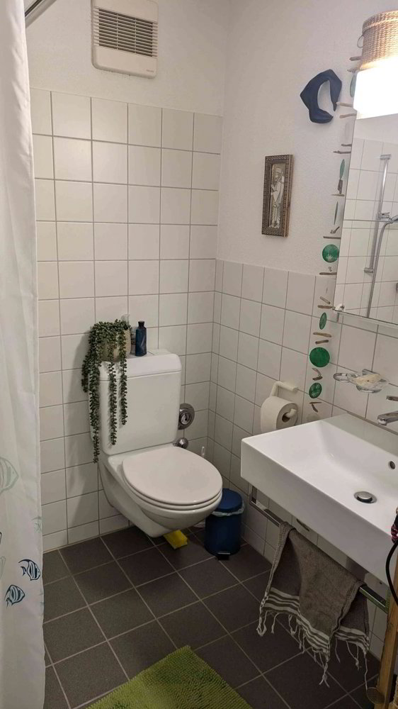 1.5 rooms Apartment for rent in Zürich - image 1/3