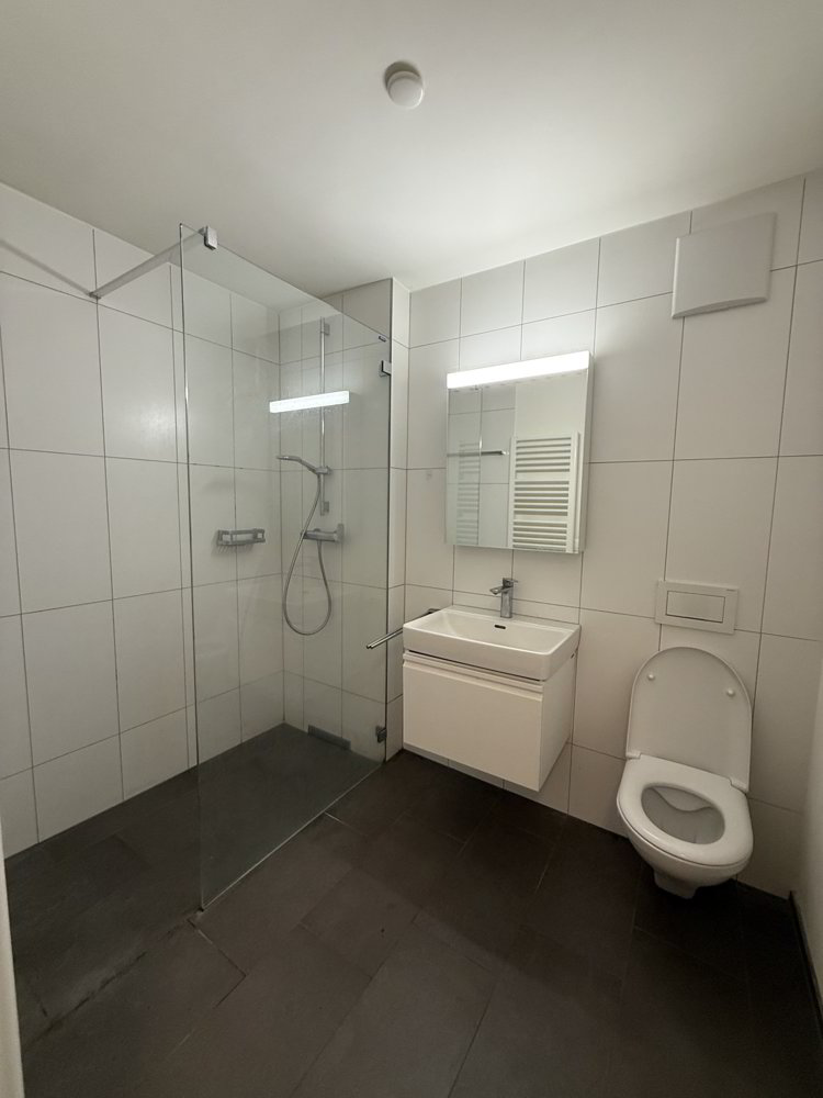 Appartement 3.5 pièces à louer à Zürich - image 1/6