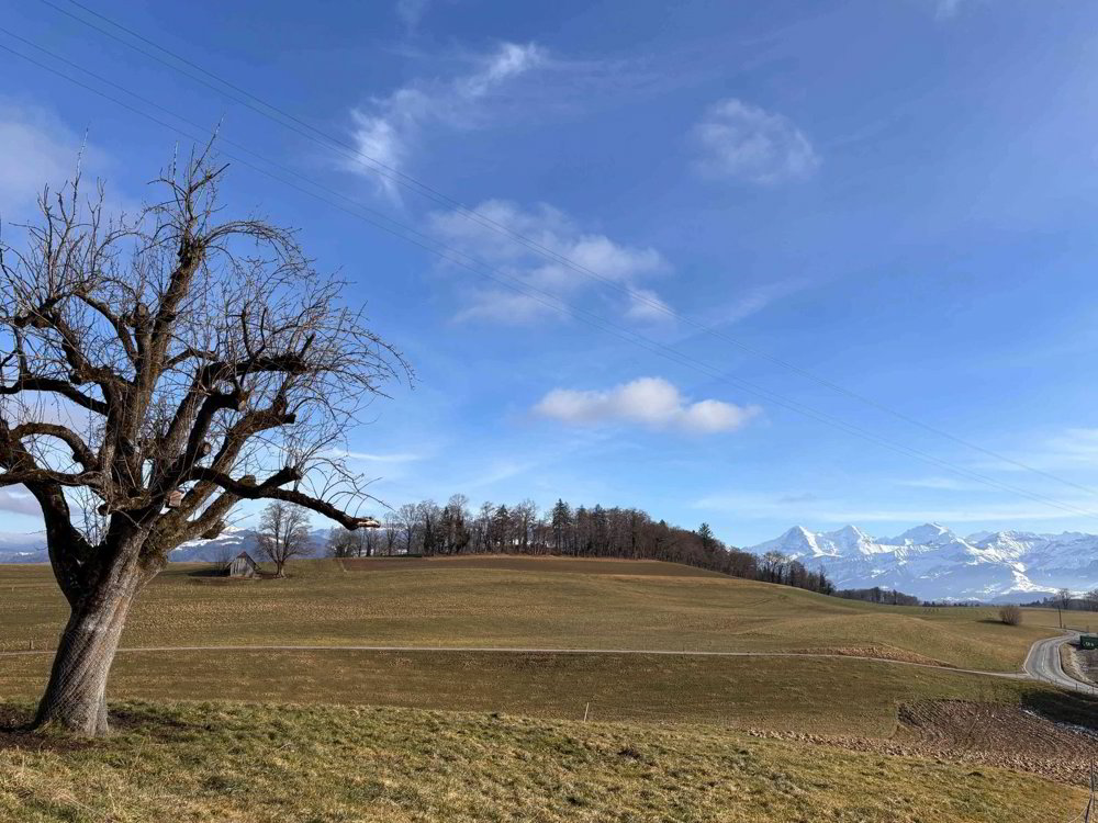 Appartamento di 3.5 locali in affitto a Thierachern - immagine 1/7